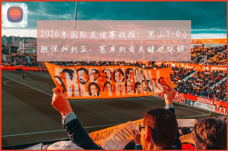 2026年国际友谊赛战报：黑山1-0小胜保加利亚，塞库利奇关键进球锁定胜局，两队战术解析与阵容点评